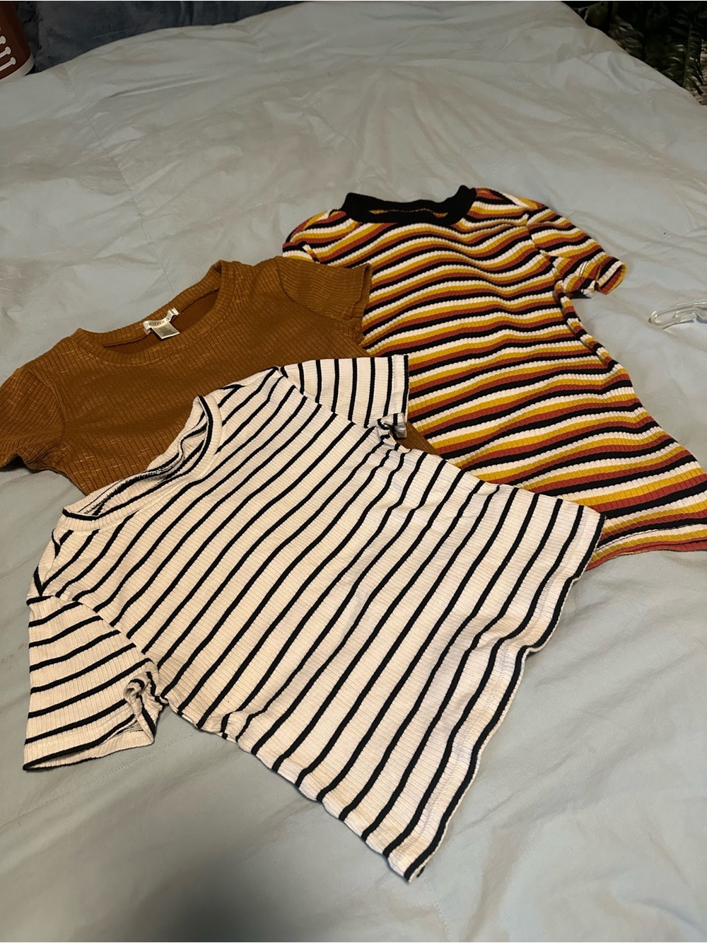 Lot of 3 “baby” tees - Womens Shirts & Tops - Small